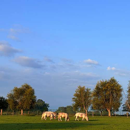 Van Wijnsberge René