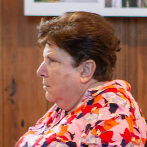 Van Haudenhuyse Annie