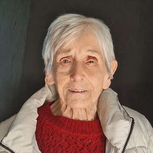 Van Hese Denise